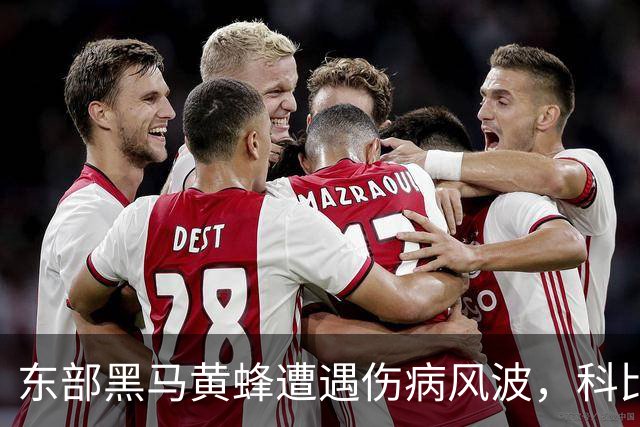 东部黑马黄蜂遭遇伤病风波，科比怀特季前赛报销